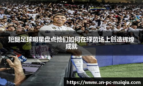 中欧体育平台